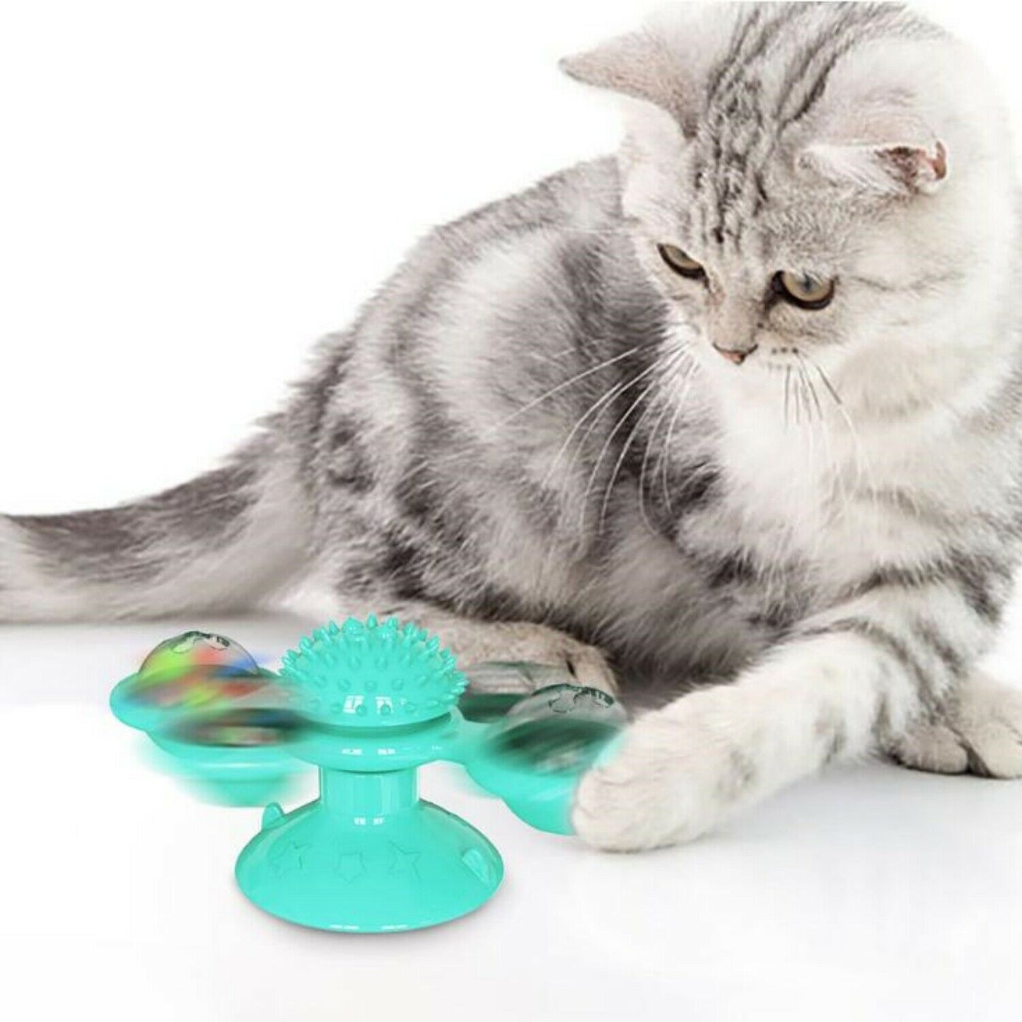 New windmill interactive indoor cat toy