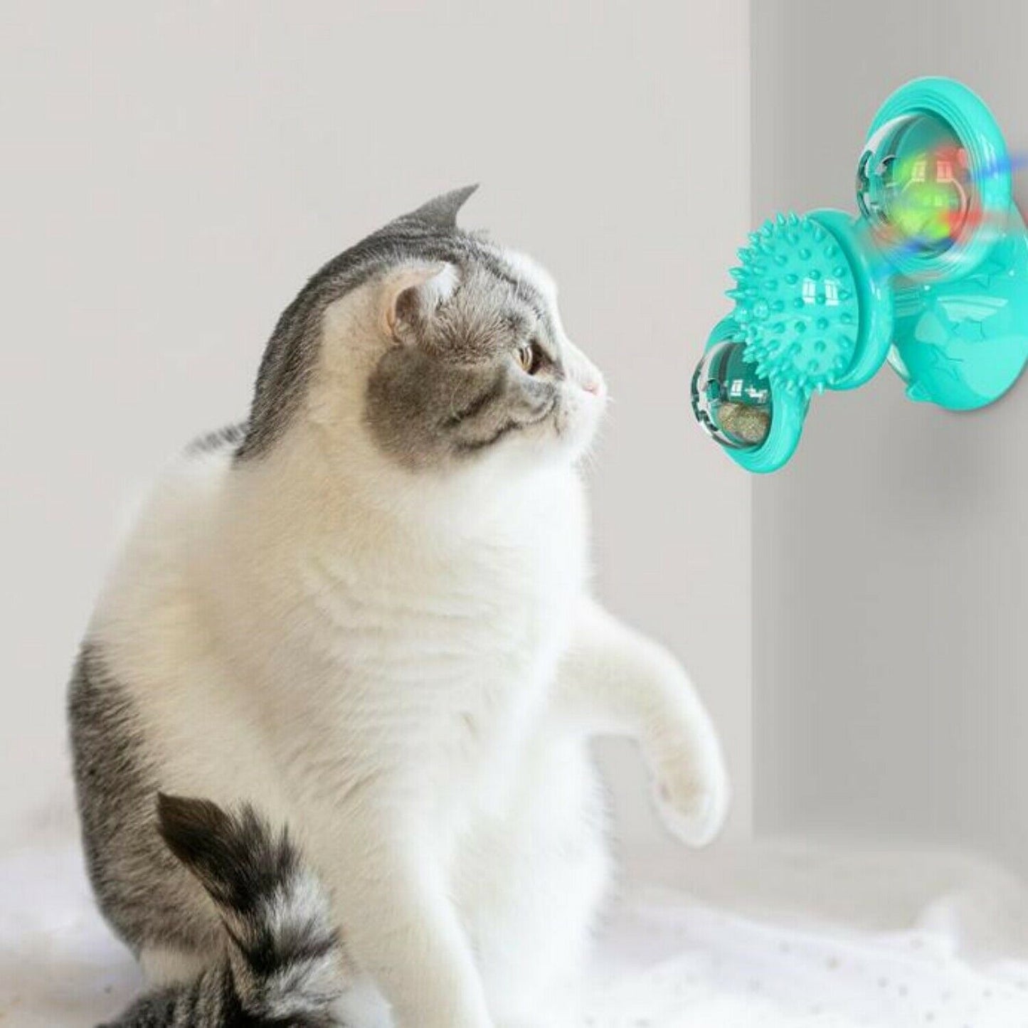 New windmill interactive indoor cat toy